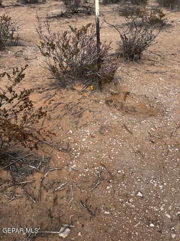 TBD E Indigo Street, Horizon City, TX 79928