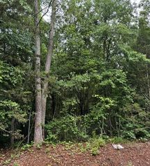 0 Lewis Drive, Lavonia, GA 30553