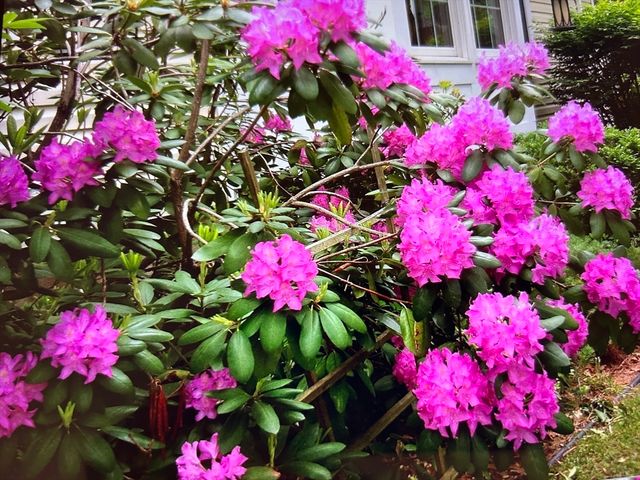 15 Nichols Street, North Reading, MA 01864