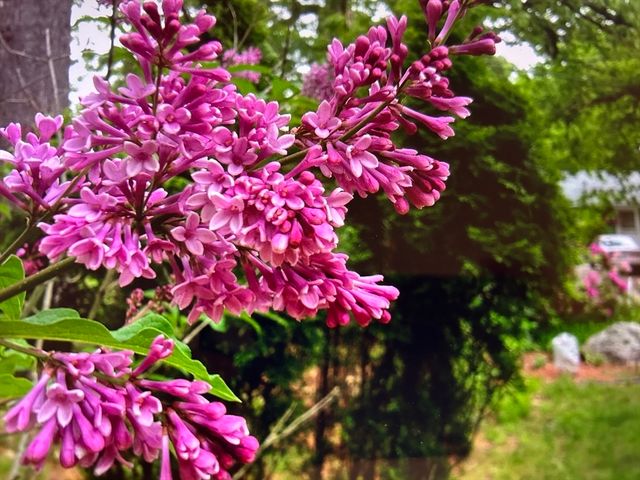 15 Nichols Street, North Reading, MA 01864