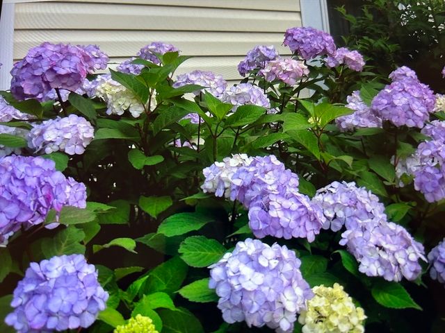 15 Nichols Street, North Reading, MA 01864