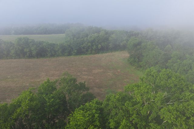 3526 Williamsport Pike, Williamsport, TN 38487