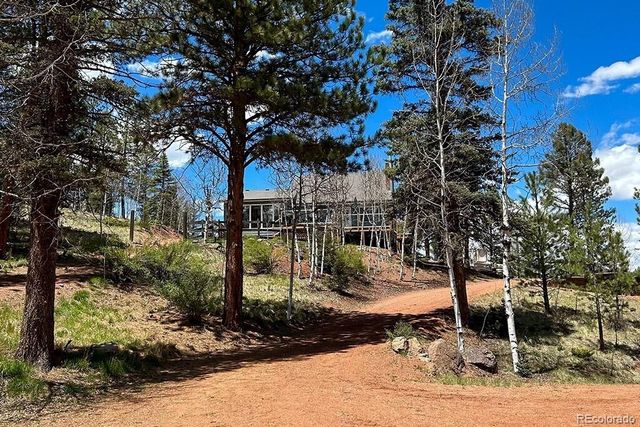 83 Pika Creek Trail, Florissant, CO 80816