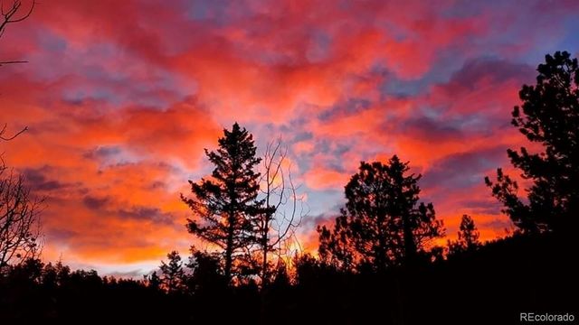 83 Pika Creek Trail, Florissant, CO 80816