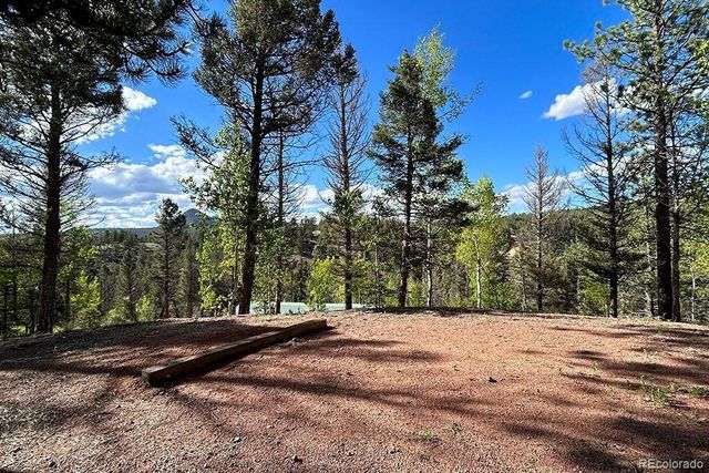 83 Pika Creek Trail, Florissant, CO 80816