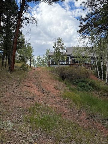 83 Pika Creek Trail, Florissant, CO 80816