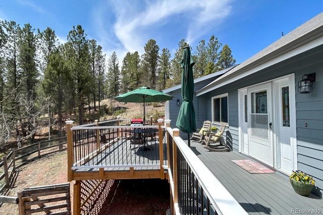 83 Pika Creek Trail, Florissant, CO 80816
