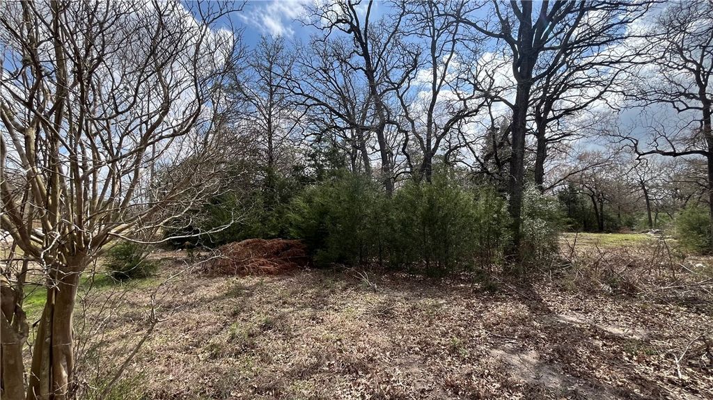 11566 Woodglen Circle, Bryan, TX 77808 — photo 2