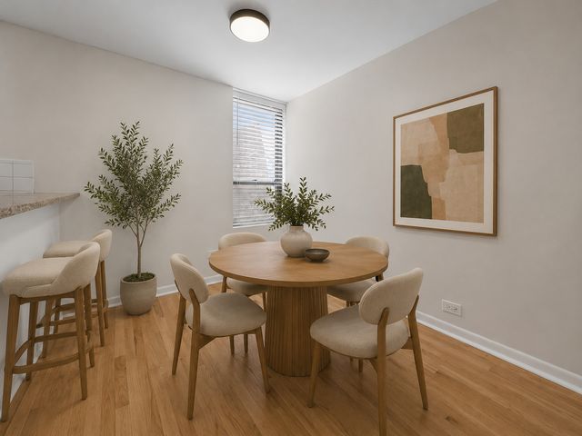 636 W Webster Avenue 304, Chicago, IL 60614