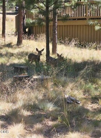57641 Splitrock Lane 2, Sunriver, OR 97707