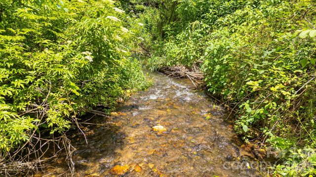 923 Newfound Road, Leicester, NC 28748