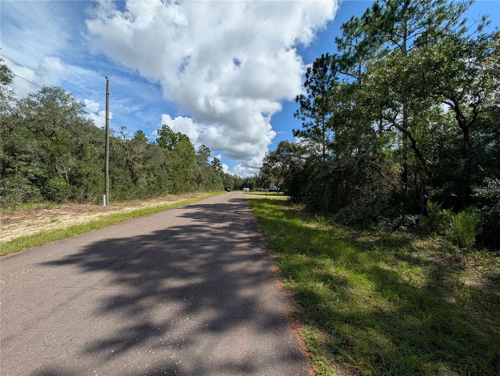 8511 N BOONE WAY, Citrus Springs, FL 34433