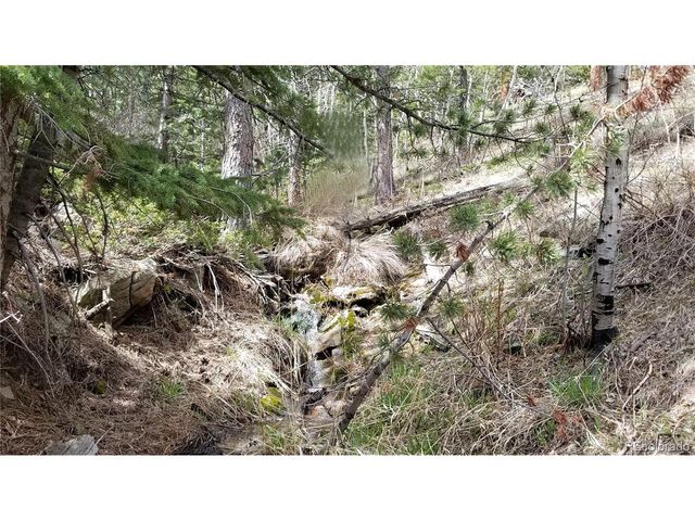 32778 Janelle Ln, Golden, CO 80403