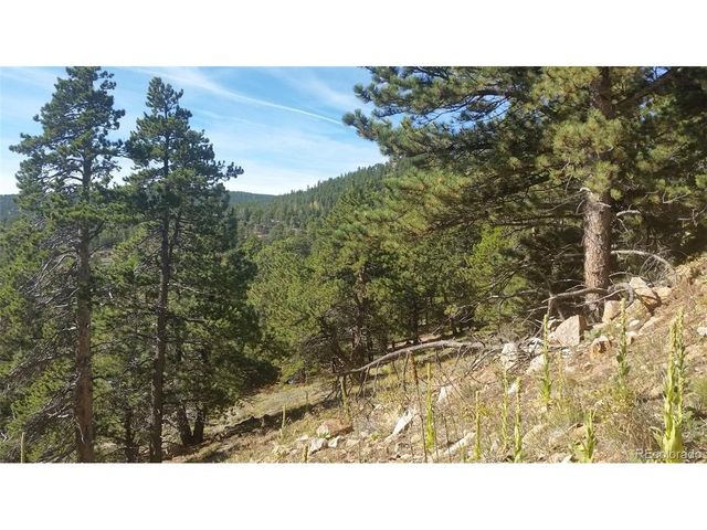 32778 Janelle Ln, Golden, CO 80403