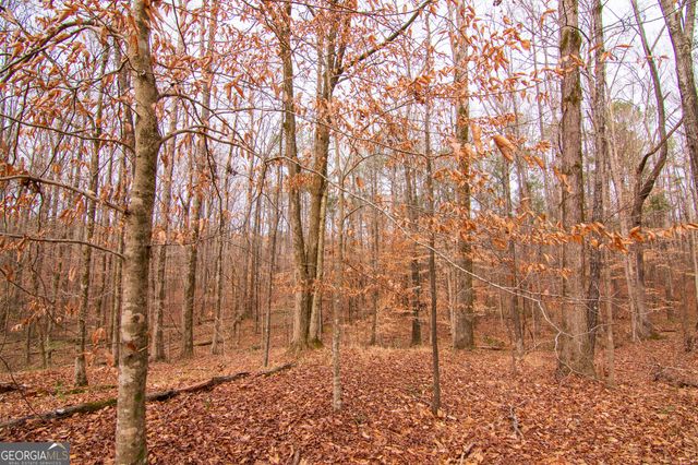 3337 Lower Blue Springs Road, Hamilton, GA 31811