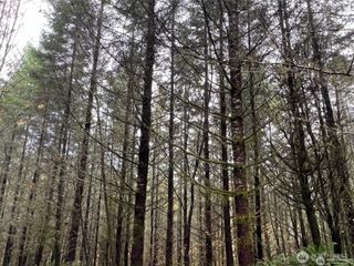 0 Pleasant Valley Road, Chehalis, WA 98532