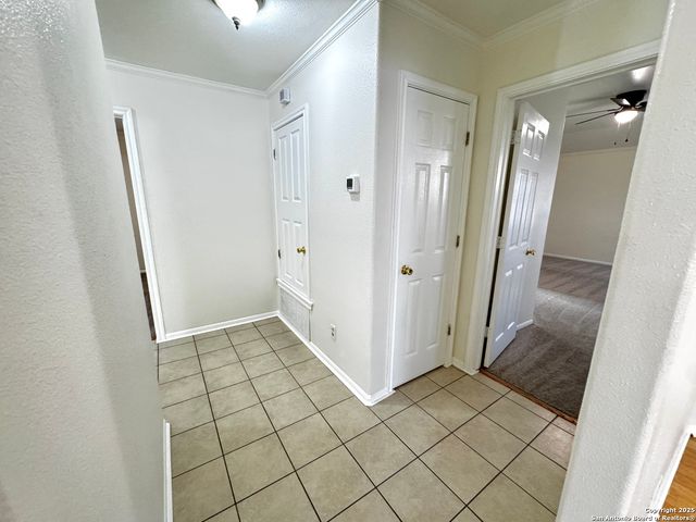 4447 Amandas Cove, San Antonio, TX 78247
