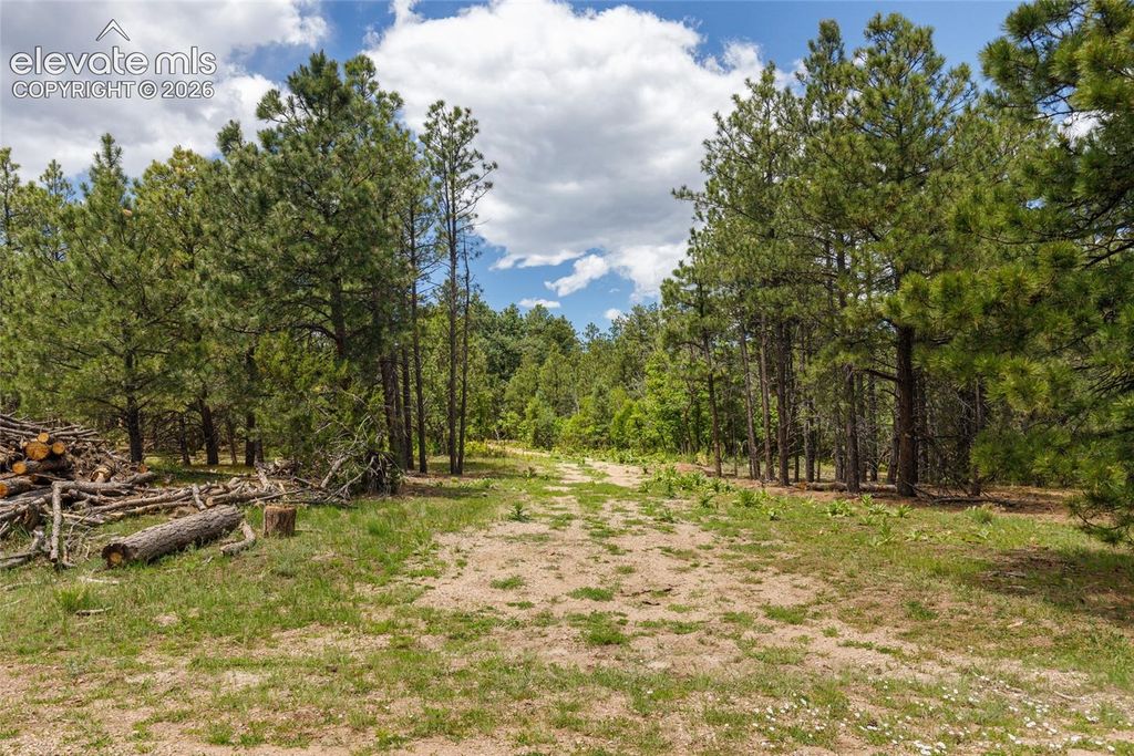 8719 Ponderosa Pine Drive, Beulah, CO 81023 — exterior