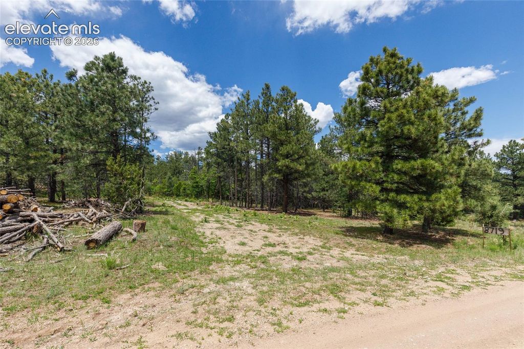 8719 Ponderosa Pine Drive, Beulah, CO 81023 — photo 2