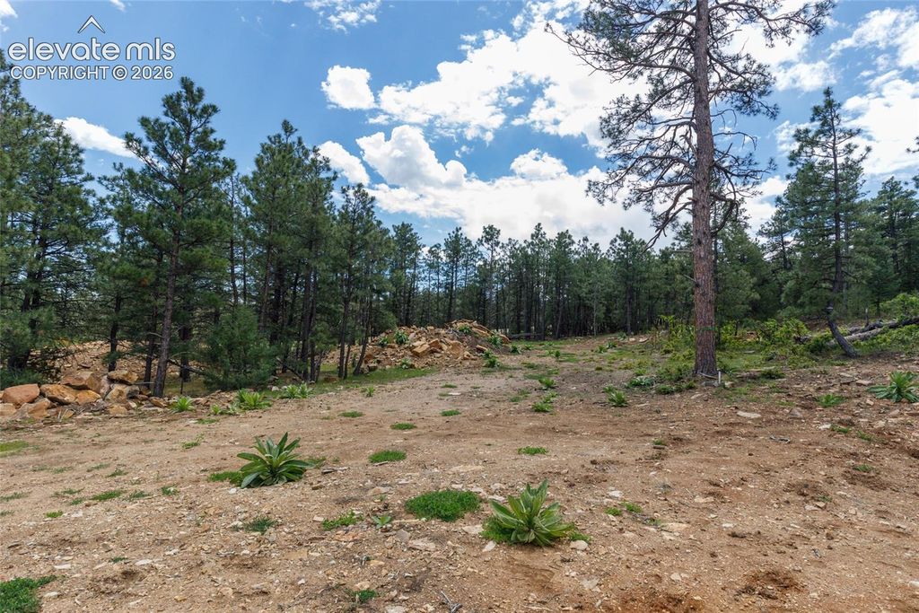 8719 Ponderosa Pine Drive, Beulah, CO 81023 — photo 4