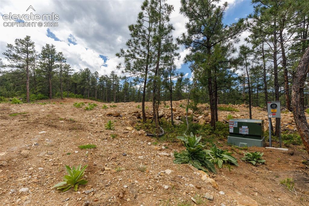 8719 Ponderosa Pine Drive, Beulah, CO 81023 — photo 5