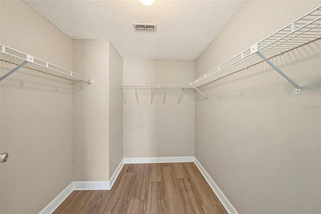 814 SATINLEAF AVENUE, Oldsmar, FL 34677