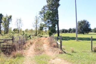 11307 CARTER ISLAND ROAD, Groveland, FL 34736