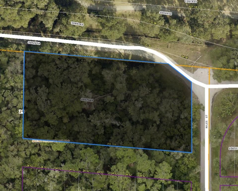 NILES STREET, Sorrento, FL 32776