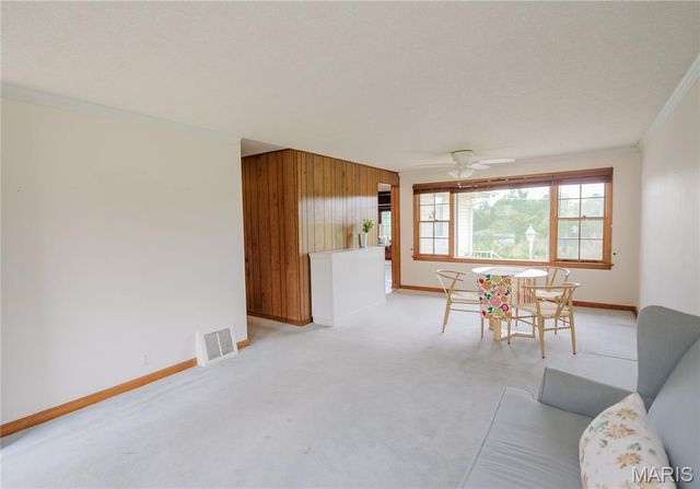 10441 Ewell Drive, St Louis, MO 63137