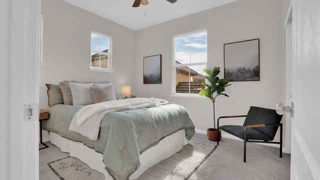 17125 Laurel Oak Ln, Lathrop, CA 95330