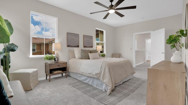 17125 Laurel Oak Ln, Lathrop, CA 95330