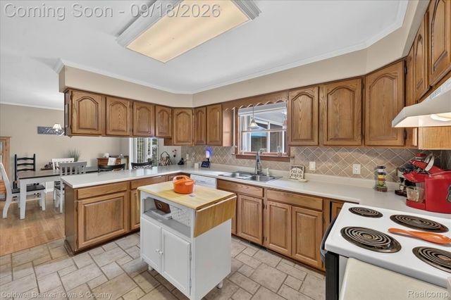 4442 McGunn Road, Oceola Township, MI 48843