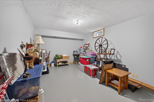 4442 McGunn Road, Oceola Township, MI 48843