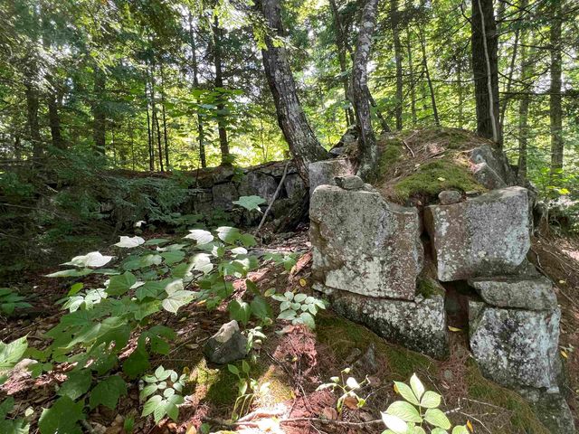Map 6, Lot 38 Chadwick Hill Road, Webster, NH 03303