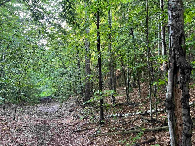 Map 6, Lot 38 Chadwick Hill Road, Webster, NH 03303