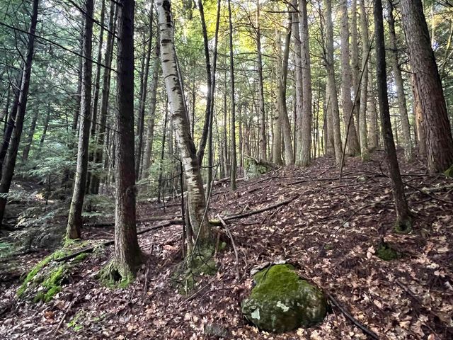 Map 6, Lot 38 Chadwick Hill Road, Webster, NH 03303