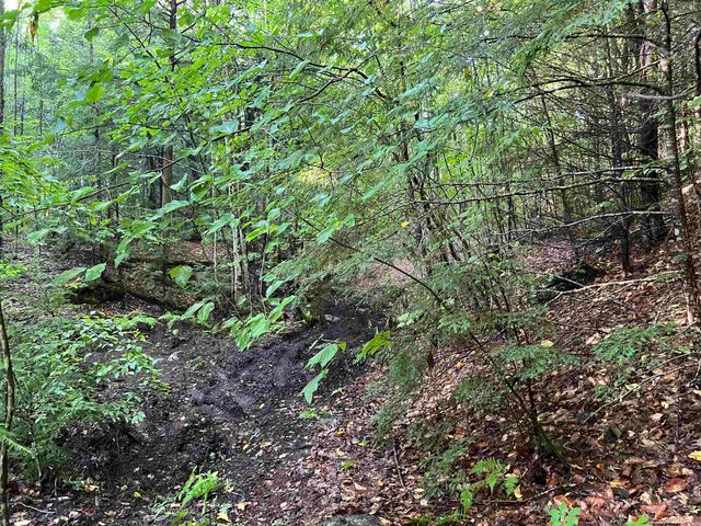 Map 6, Lot 38 Chadwick Hill Road, Webster, NH 03303
