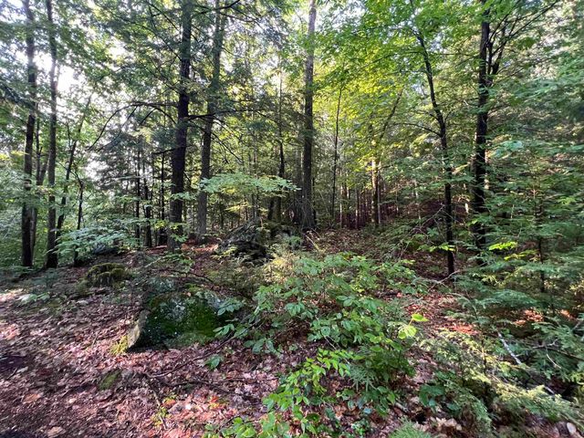 Map 6, Lot 38 Chadwick Hill Road, Webster, NH 03303