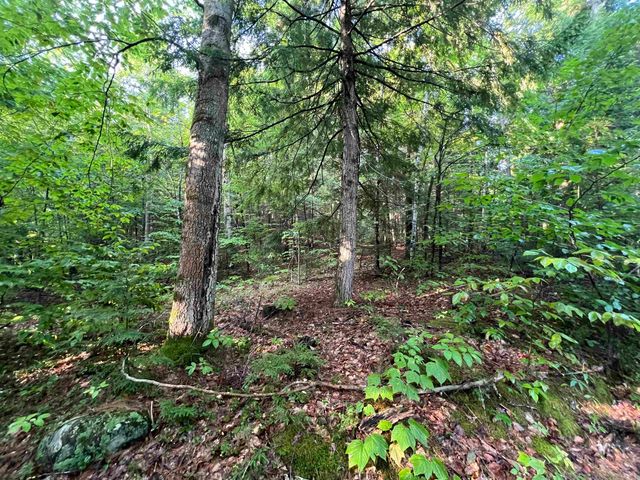 Map 6, Lot 38 Chadwick Hill Road, Webster, NH 03303