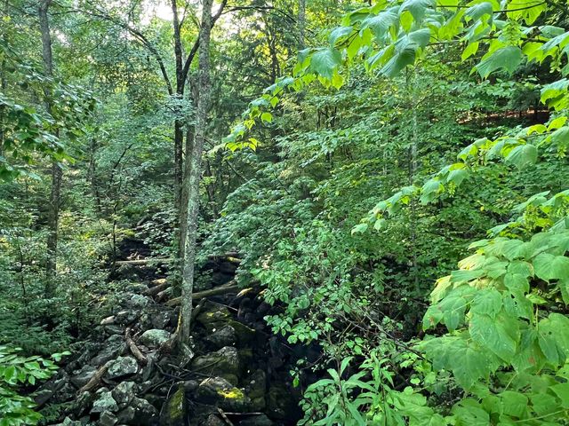 Map 6, Lot 38 Chadwick Hill Road, Webster, NH 03303