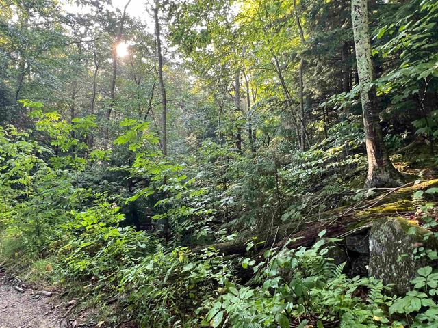 Map 6, Lot 38 Chadwick Hill Road, Webster, NH 03303