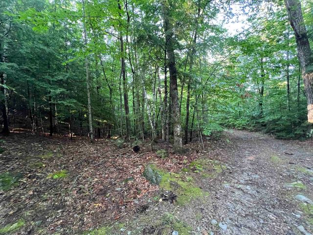 Map 6, Lot 38 Chadwick Hill Road, Webster, NH 03303