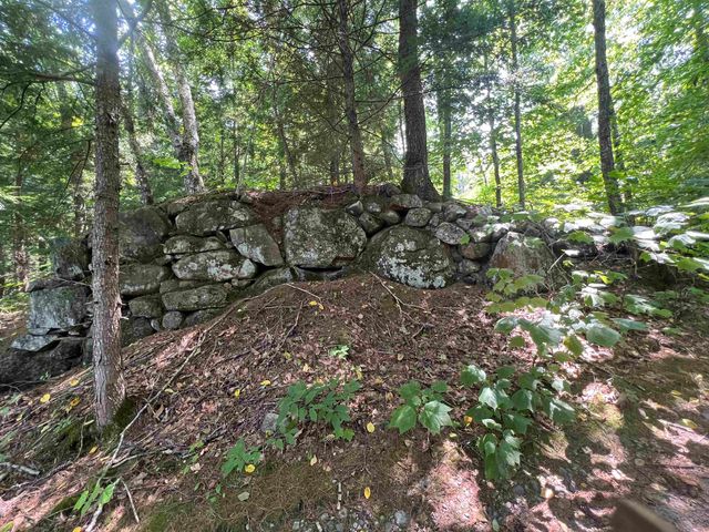 Map 6, Lot 38 Chadwick Hill Road, Webster, NH 03303
