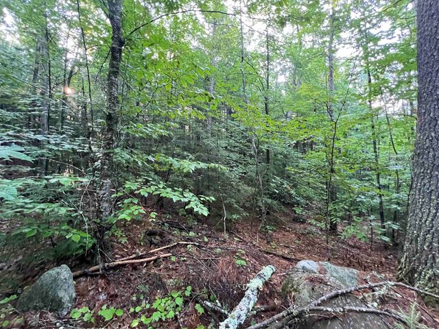 Map 6, Lot 38 Chadwick Hill Road, Webster, NH 03303