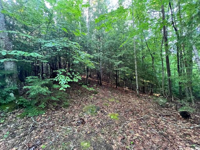 Map 6, Lot 38 Chadwick Hill Road, Webster, NH 03303