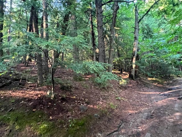 Map 6, Lot 38 Chadwick Hill Road, Webster, NH 03303
