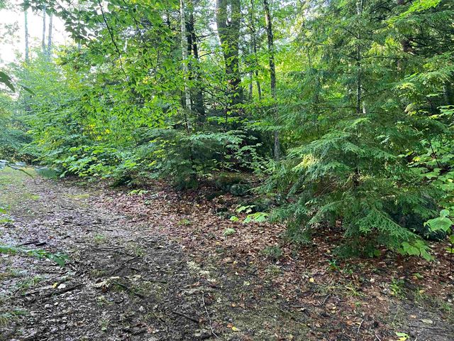Map 6, Lot 38 Chadwick Hill Road, Webster, NH 03303