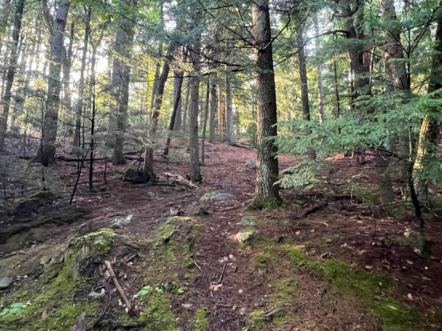 Map 6, Lot 38 Chadwick Hill Road, Webster, NH 03303
