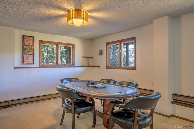 6997 Skunk Alley, Evergreen, CO 80439