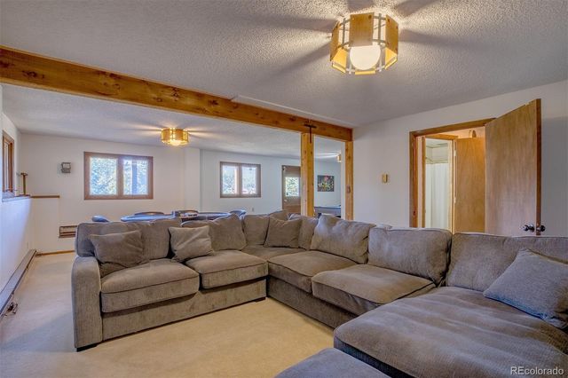 6997 Skunk Alley, Evergreen, CO 80439